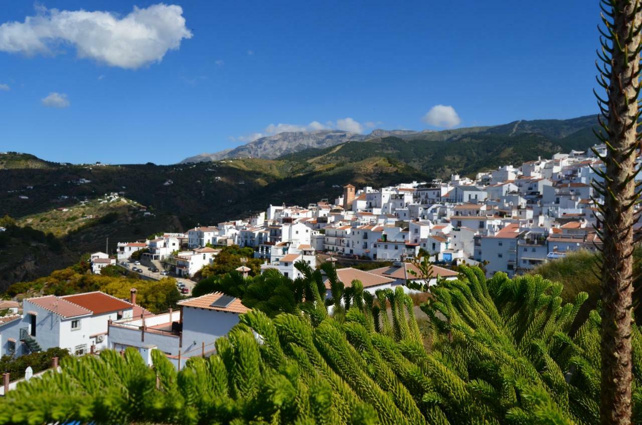 Posada La Plaza Canillas de Albaida Esterno foto